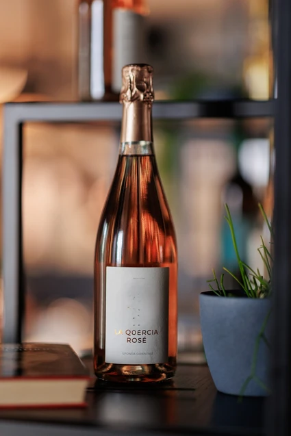 Light Lunch in Wine Resort: L’Aperitivo Creativo Vista Lago a Lazise 23